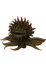 Malboro