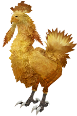 Chocobo