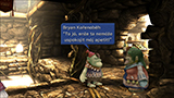 Screenshot z Final Fantasy IX Steam